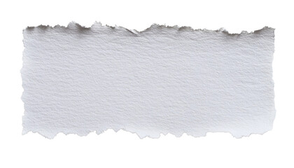 white paper torn isolated on transparent background cutout
