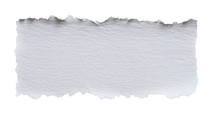 white paper torn isolated on transparent background cutout