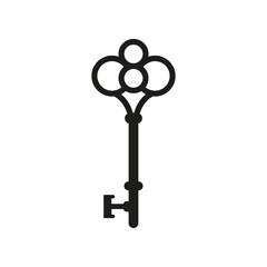 The key icon. A simple flat vector illustration on a white background