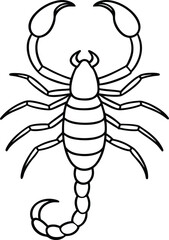 Scorpion outline illustration art, smooth line art like silhouette on white background.