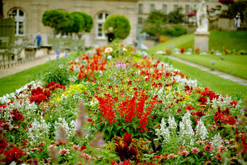 Obraz premium Flores