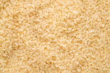 Round grain uncooked rice, macro, top view.