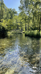 Park in Italy with pond, ducks and weeping willows