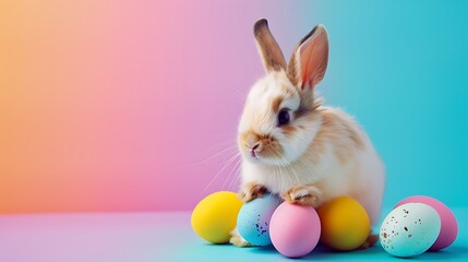 Fototapeta premium Cute little bunny with eggs isolated on colorful background