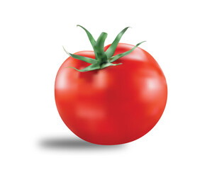 Tomato realistic look, vector.