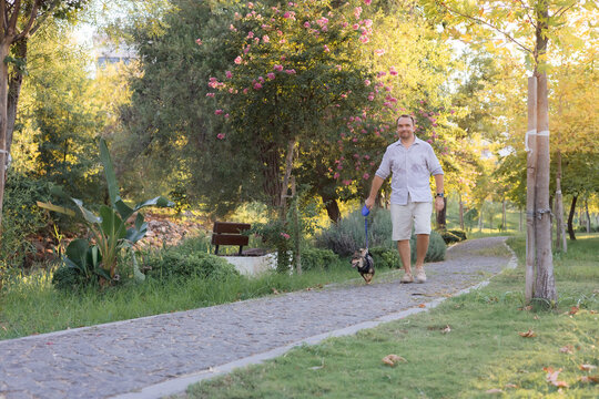 Smiling middle-aged man walks and plays with a small dog in public park