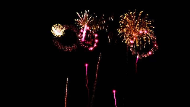 fireworks in the sky animation on black screen