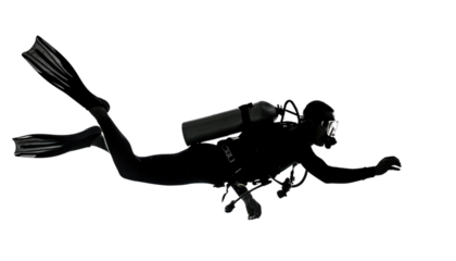 A silhouette of a diver gracefully swimming through the water, showcasing underwater exploration and adventure.
