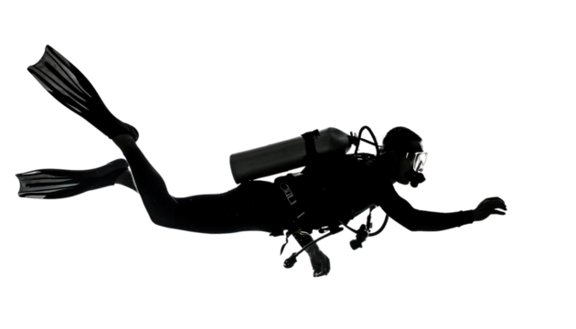 A silhouette of a diver gracefully swimming through the water, showcasing underwater exploration and adventure.