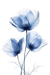 A minimalist watercolor blue abstract flowers