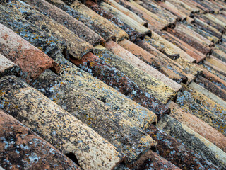 Textured weathered tile roof lichen old world European