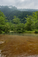 夏の上高地，田代池，長野県