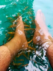 people undergoing fish therapy