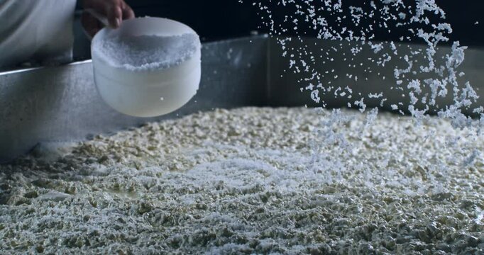 Super slow motion close up of artisan cheesemakers  adding salt  in fresh bio eco milk mass during traditional cheese making process at cheese production creamery dairy factory at 1000 fps.