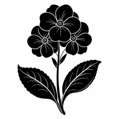 Primrose Black silhouette