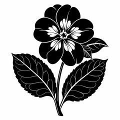 Primrose Black silhouette