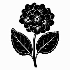 Primrose Black silhouette