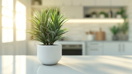Sunlight streams through the kitchen windows, illuminating a vibrant green potted plant on a sleek countertop, bringing freshness and a natural aesthetic to the contemporary space