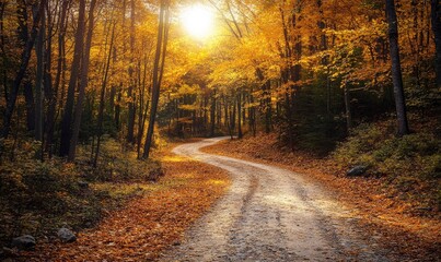 Obraz premium Path through the autumn forest, nature landscape