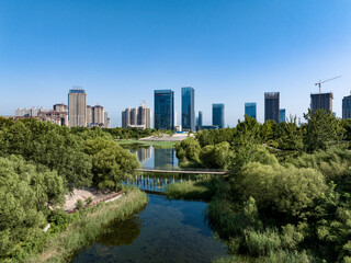 Obraz premium view of modern city