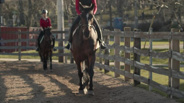 Teenage girls participate in horse riding lessons in a sandy equestrian arena, focusing on improving their skills. Close-up, Slow motion. Canada. Halifax.