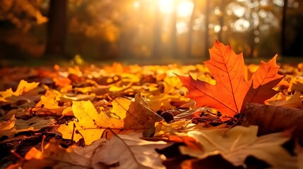 Autumn Leaves Sunlit, Blurred Backdrop with Text Space for Seasonal Design Projects