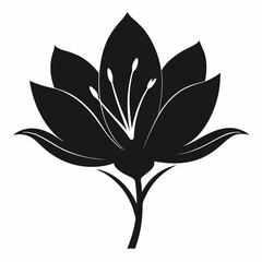 Saffron Black silhouette