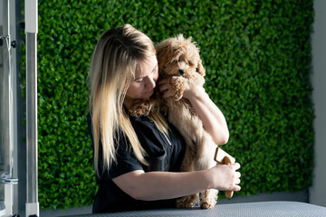 in grooming salon a master in a black uniform on a green plant background combs a short-haired...