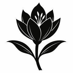 Saffron Black silhouette