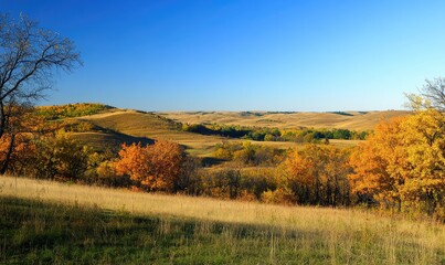 Obraz premium Peaceful autumn view, rolling hills, golden leaves, blue sky