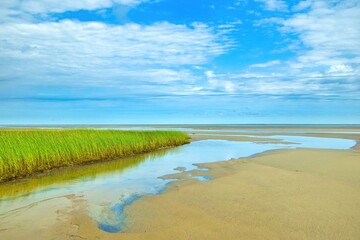 Sunny Summer day landscape of a tide pool and green grass at the Brewster Flats at low tide on Cape...