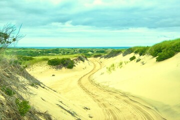 Sunny Summer day landscape of tire tracks winding through the sand dunes on Cape Cod, near Provincetown, MA.