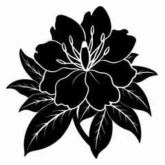 Rhododendron Black silhouette