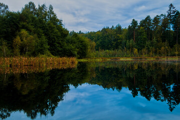 Pond in the middle of the forest during a cloudy sunrise