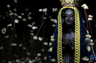 A santa imagem de Nossa Senhora Aparecida, a santa padroeira do Brasil