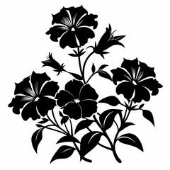 Petunias Black silhouette, illustration