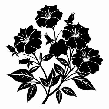 black petunia flowers on white background clip art preview