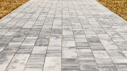 Fototapeta premium paving path made of gray decorative tiles