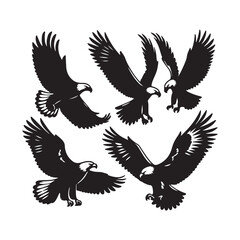 eagle vector illustration