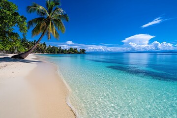 Fototapeta premium A pristine tropical beach with crystal clear turquoise water, white sand, and a swaying palm tree.