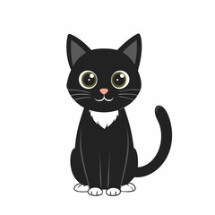 Charming black and white cat with large eyes sitting in a friendly pose