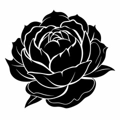 Peony Black silhouette