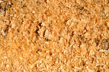 Detail of ground covered with wood shavings
