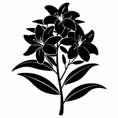 Oleander Black silhouette