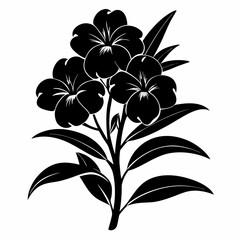 Oleander Black silhouette