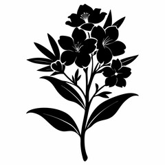 Oleander Black silhouette