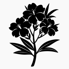 Oleander Black silhouette