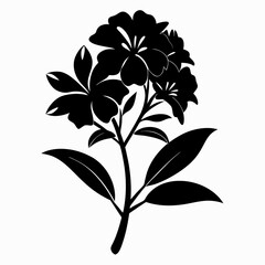 Oleander Black silhouette
