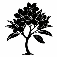 Oleander Black silhouette