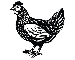 hen vector. isolated on a transparent background.